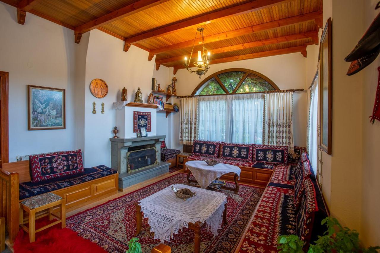 Hotel Adonis Metsovo Exterior foto